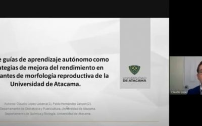 DIRECTOR DEL DEPARTAMENTO DE OBSTETRICIA OBTIENE RECONOCIMIENTO EN JORNADAS DE DOCENCIA EN CIENCIAS DE LA SALUD