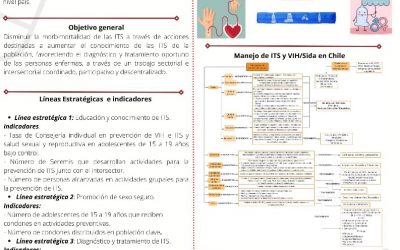 Estrategias Programáticas y Legislativas en torno a las infecciones de transmisión sexual y VIH/SIDA.