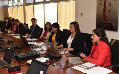Presentaron avances del Proyecto de Alfabetización en Salud a analistas del Ministerio