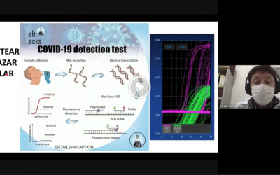 Desacatada participación de ponentes en el Seminario Web “COVID-19 en Atacama”