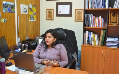 Webinar: ¿Cómo mantener la salud mental en el trabajo en contexto de pandemia por Covid-19?